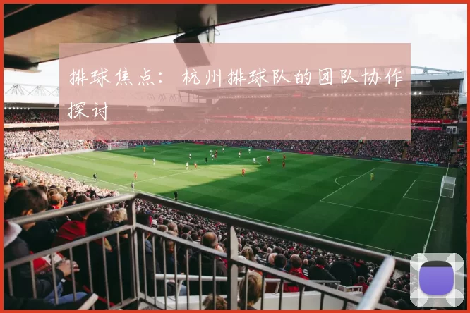 排球焦点：杭州排球队的团队协作探讨