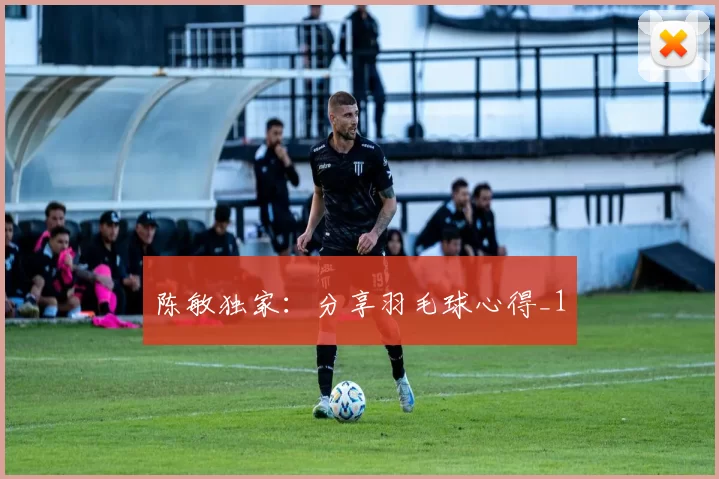 陈敏独家：分享羽毛球心得_1