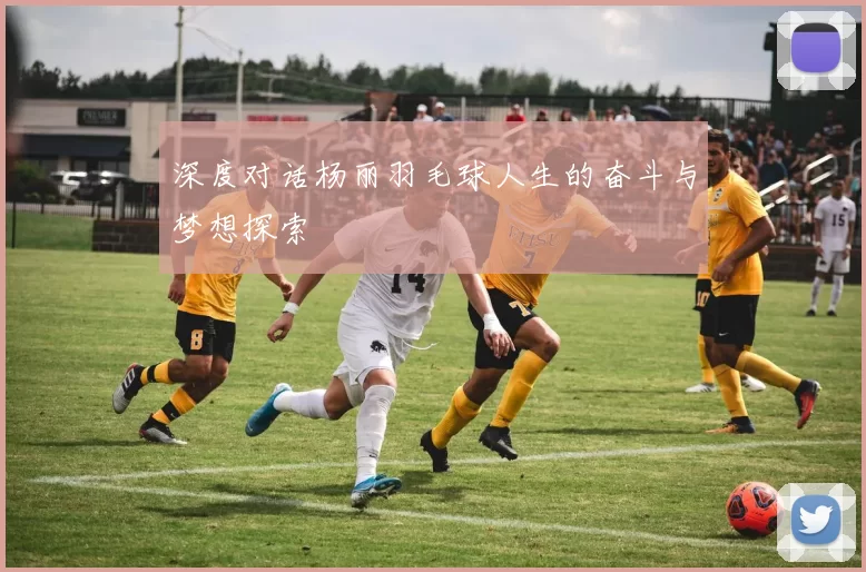 深度对话杨丽羽毛球人生的奋斗与梦想探索