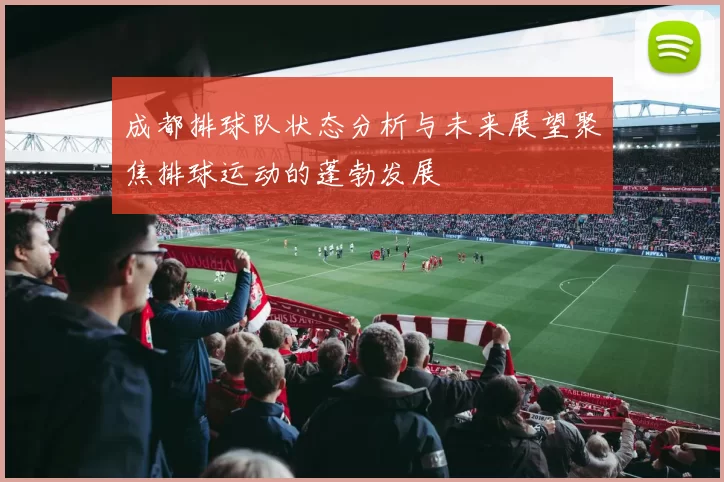 成都排球队状态分析与未来展望聚焦排球运动的蓬勃发展