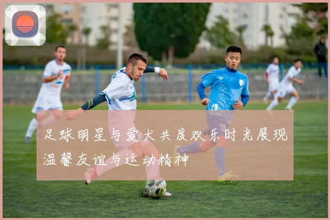 足球明星与爱犬共度欢乐时光展现温馨友谊与运动精神