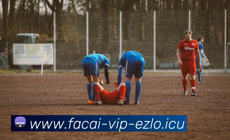 开云体育APP 高清赛事图